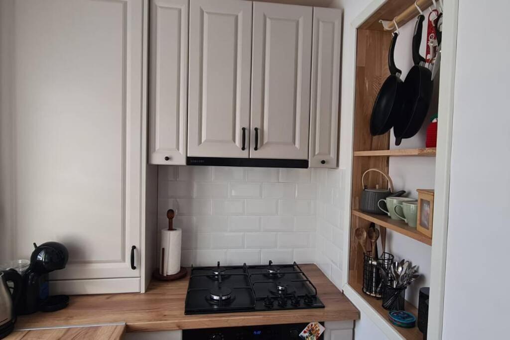 Warm And Cozy Studio Flat Near Straja Uricani  Exterior foto